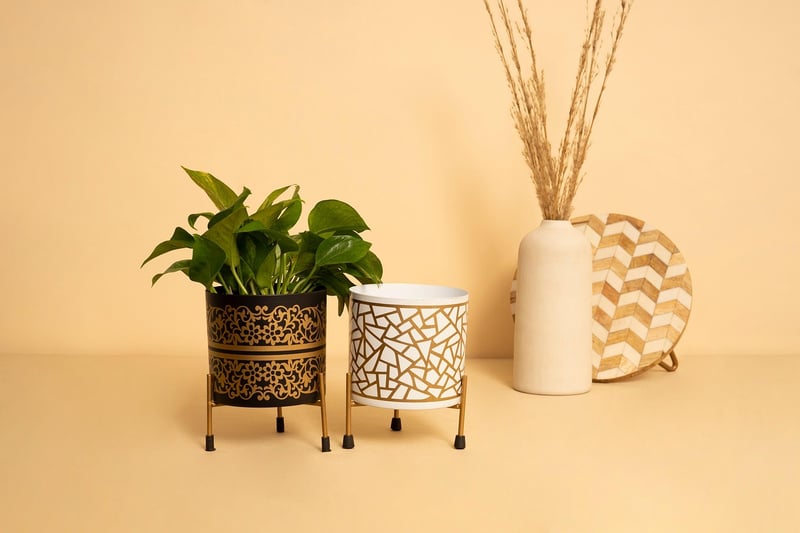 Self-Watering Planters